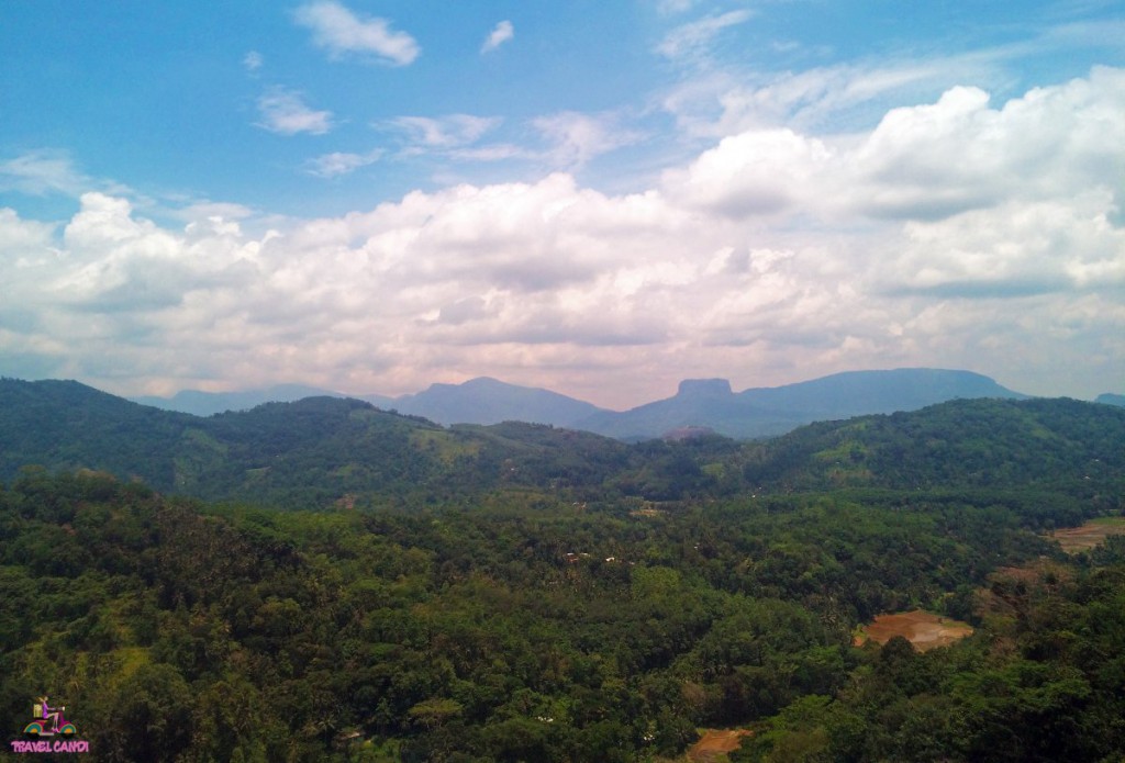 Pinnawala Landscape