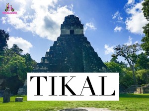 GU Tikal Main