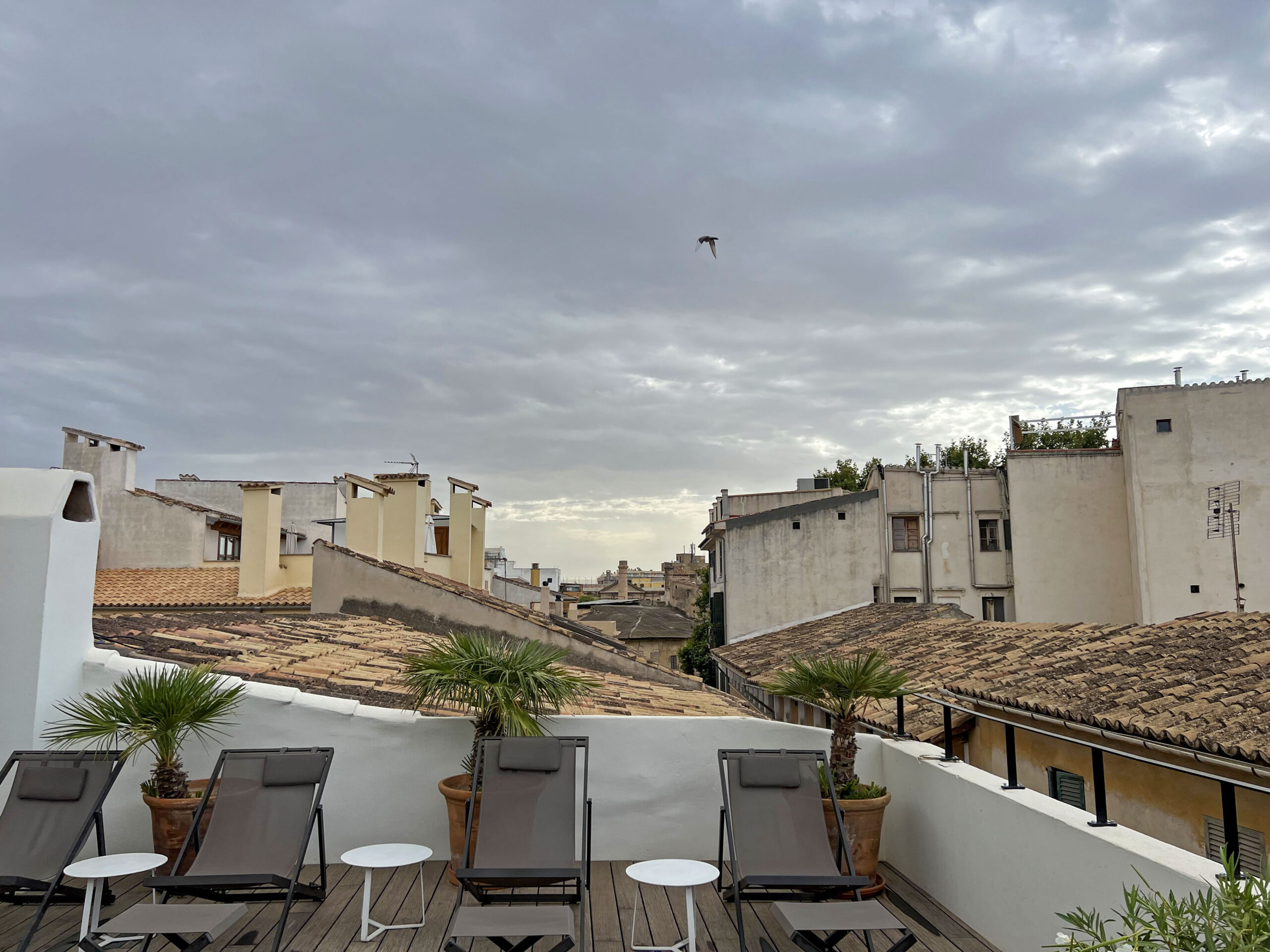 Posada Terra Santa Roof Lounge Area